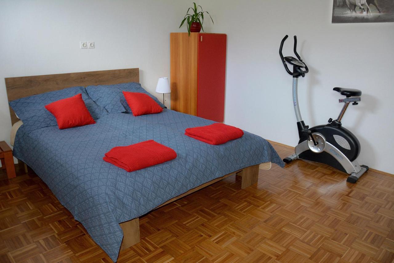 Apartma Vidmar Šenčur エクステリア 写真