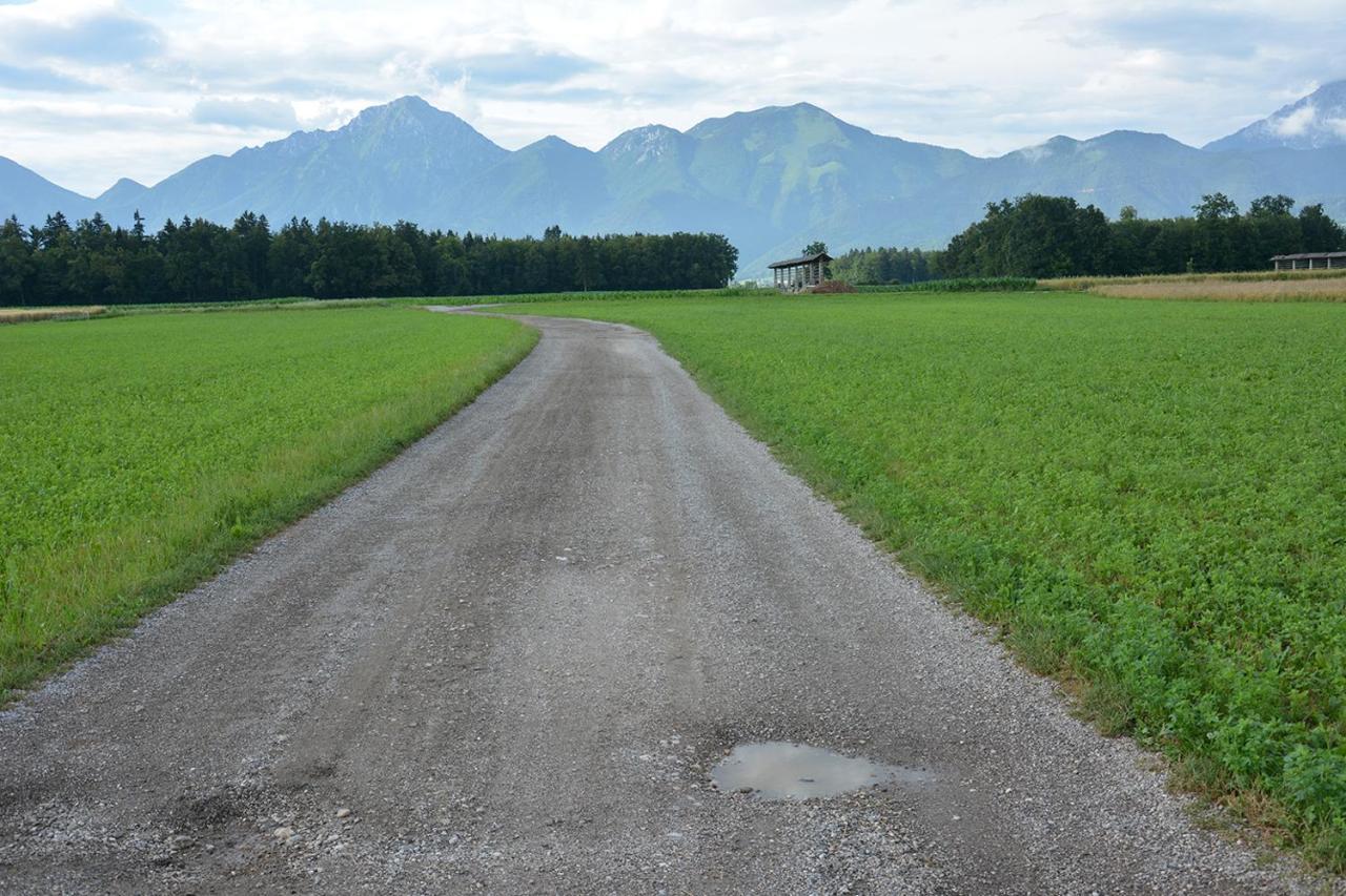 Apartma Vidmar Šenčur エクステリア 写真